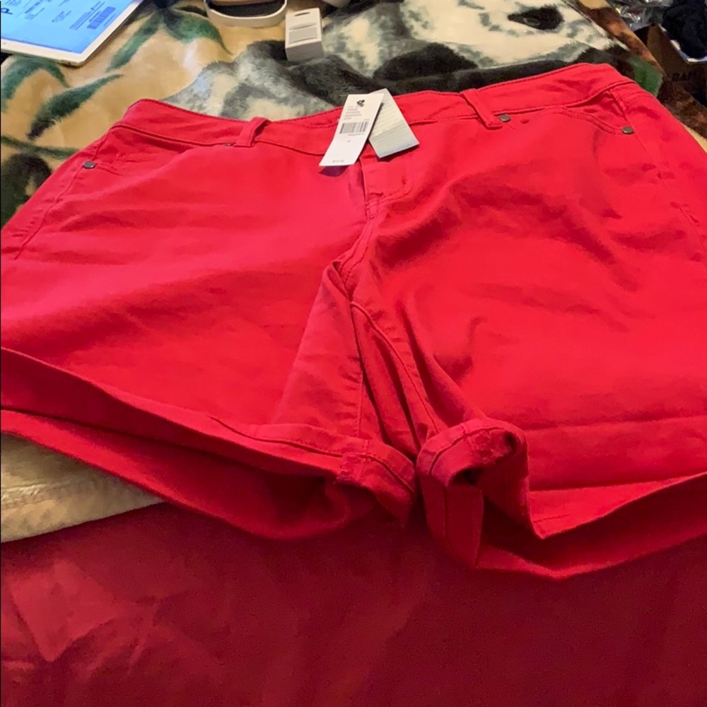 Cuffed shorts